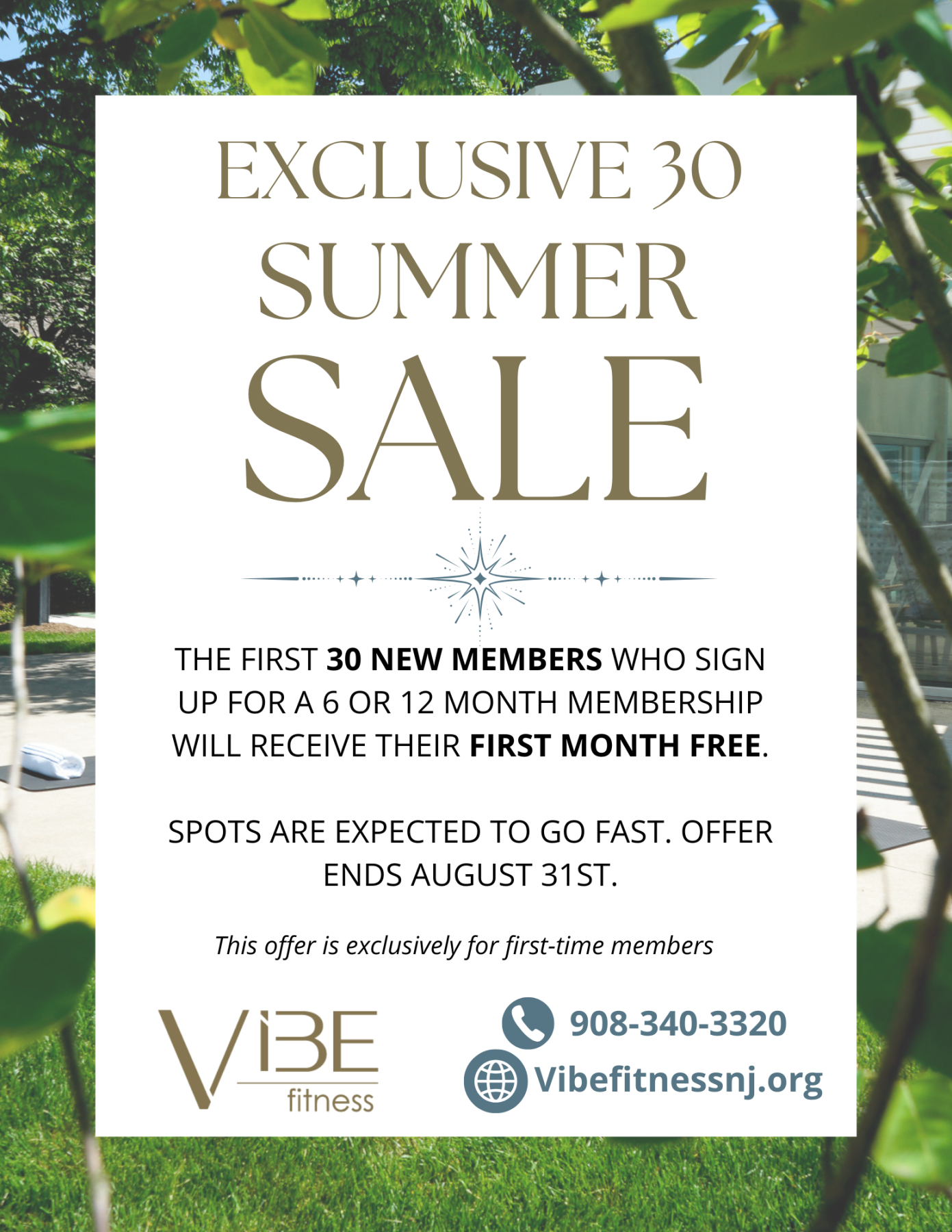 copy-of-exclusive-30-summer-sale-flyer-extended